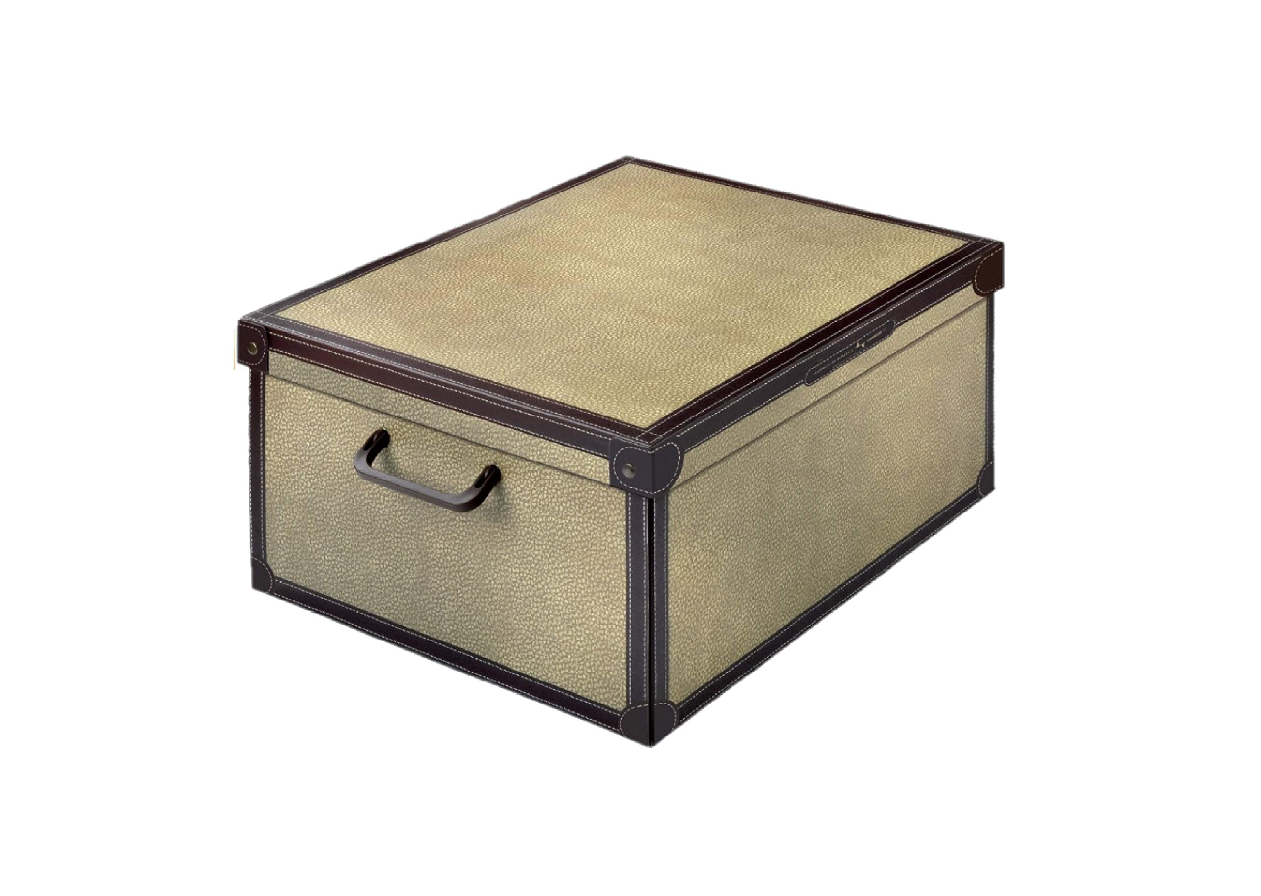 Lavatelli Kanguru Tapirus scatola 32x42x21 cartone