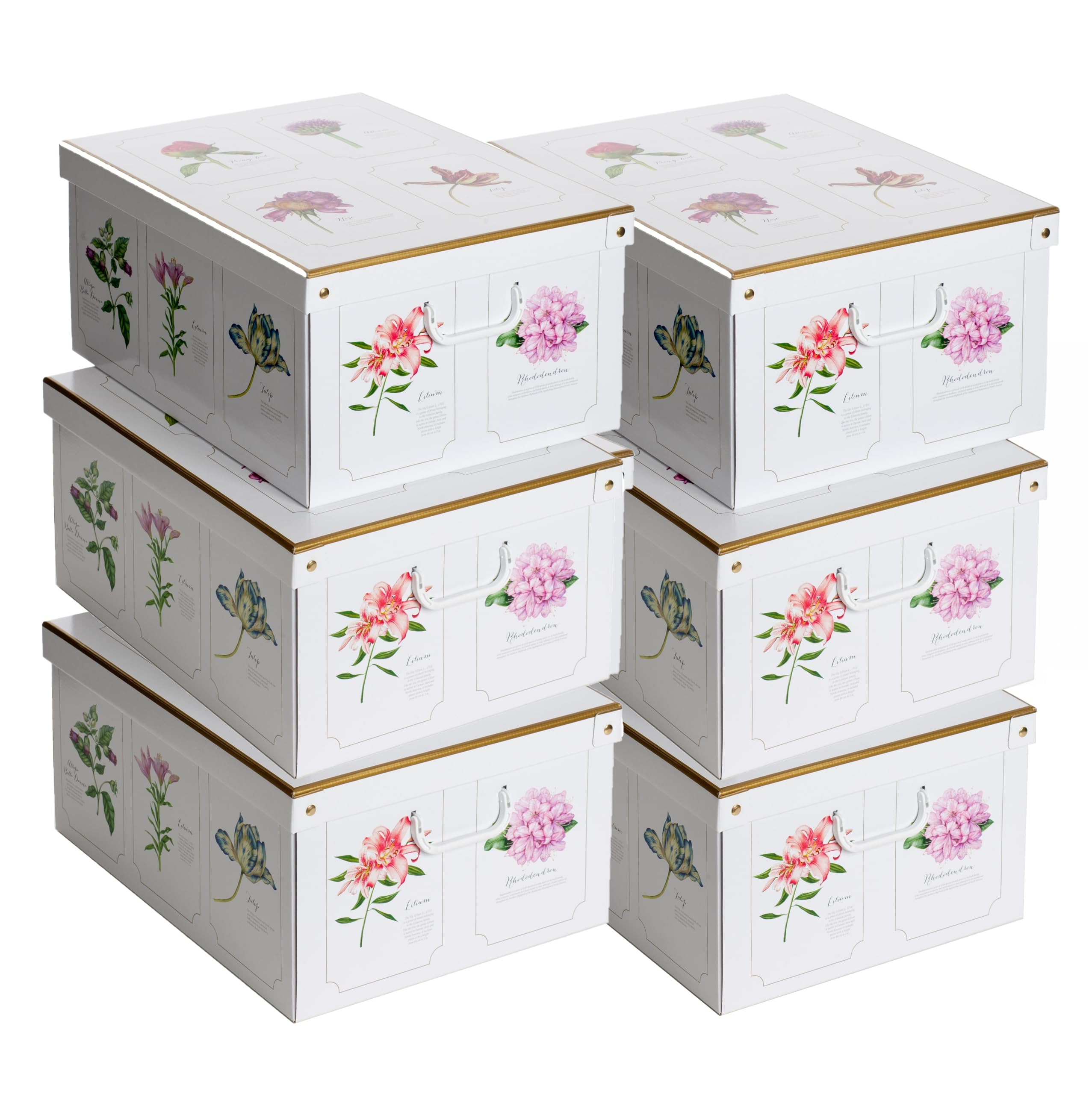 Lavatelli Set 6 Scatole Armadio 39x50x24 Rose Cartone
