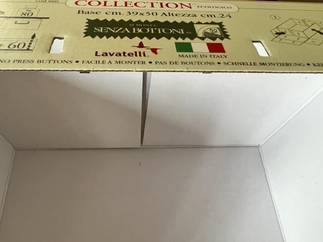 Lavatelli Camelie scatole armadio cartone 49x40x24 set 2 pezzi