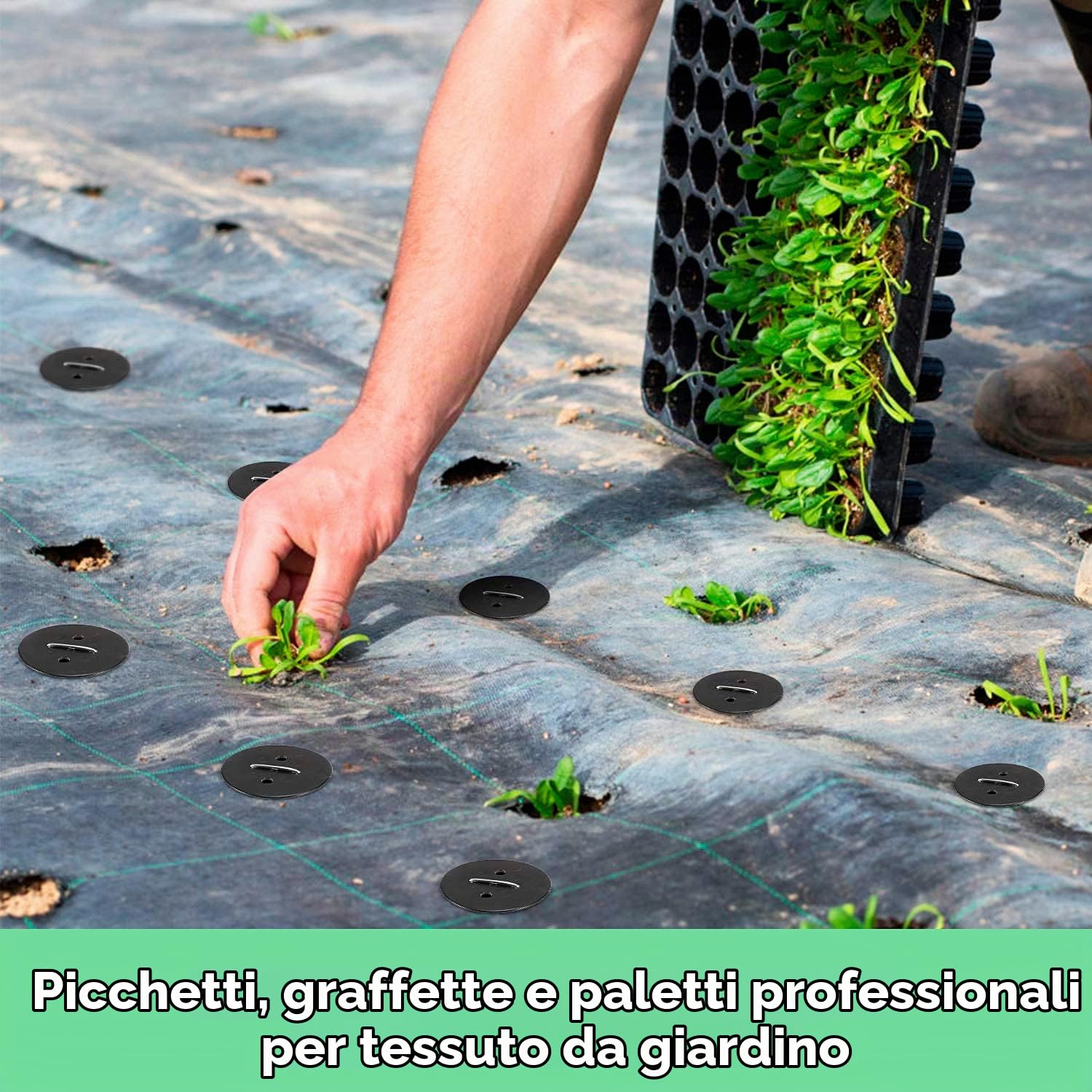 Ediesi picchetti giardino a U acciaio 50 pezzi 15 cm antiruggine