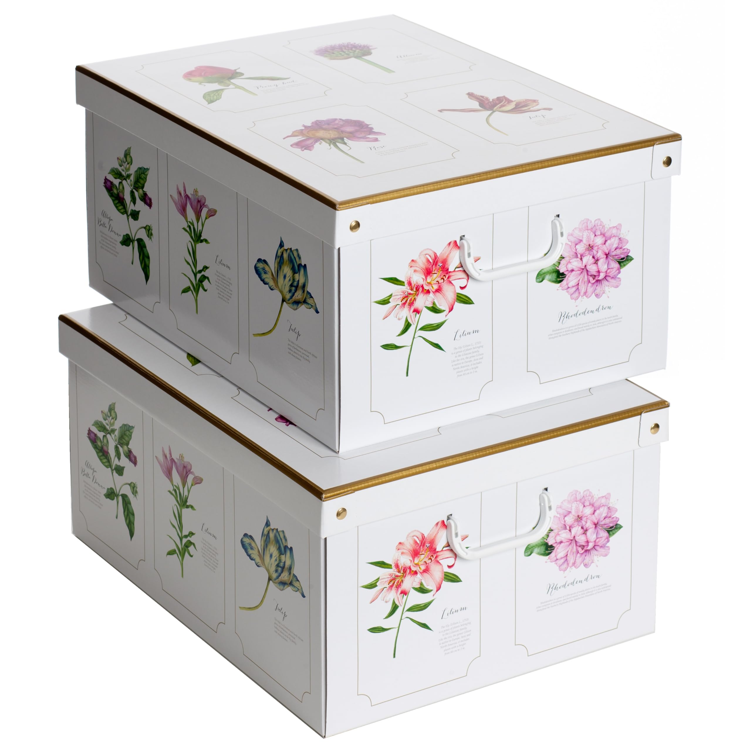 Lavatelli Botanic scatole armadio cartone 49x40x24 cm set 2 pezzi