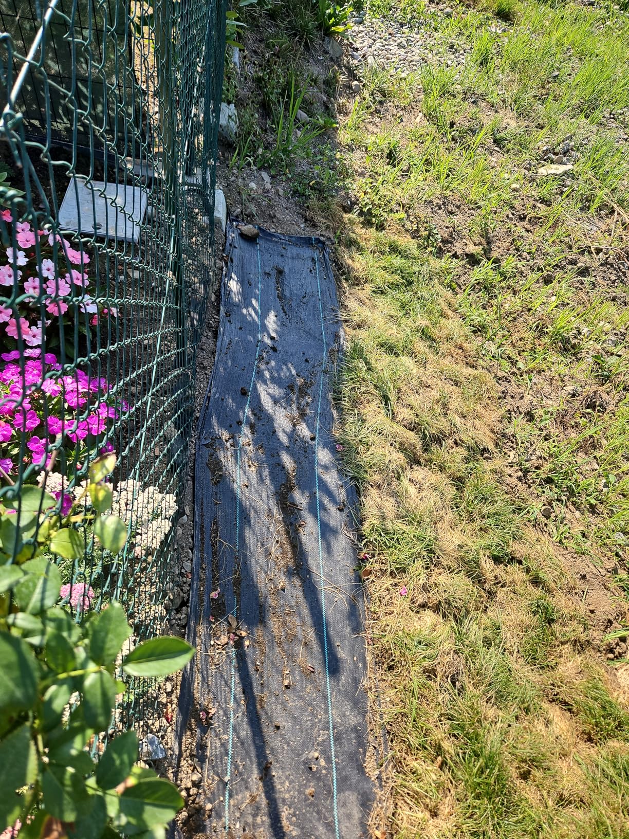 Ediesi picchetti giardino a U acciaio 50 pezzi 15 cm antiruggine