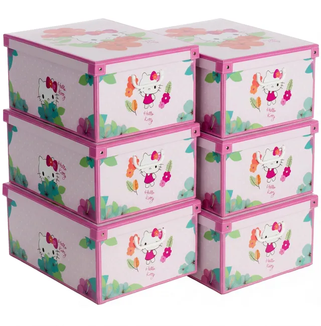 Lavatelli Set 6 Scatole Armadio 39x50x24 cm Hello Kitty Cartone