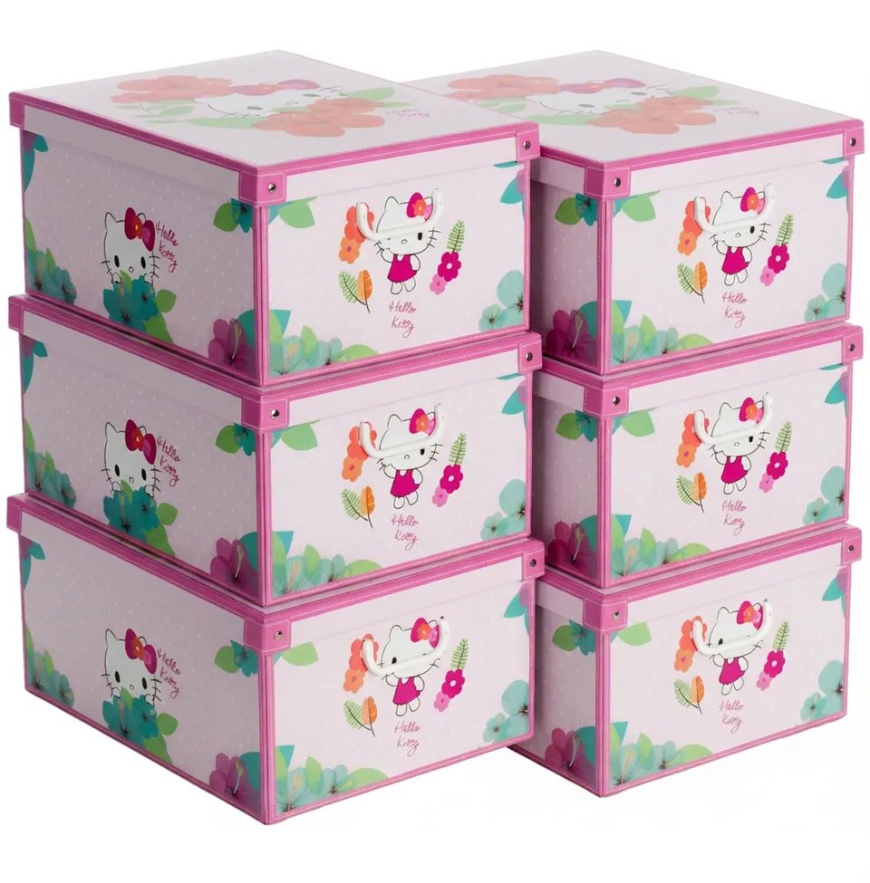 Lavatelli Set 6 Scatole Armadio 39x50x24 cm Hello Kitty Cartone