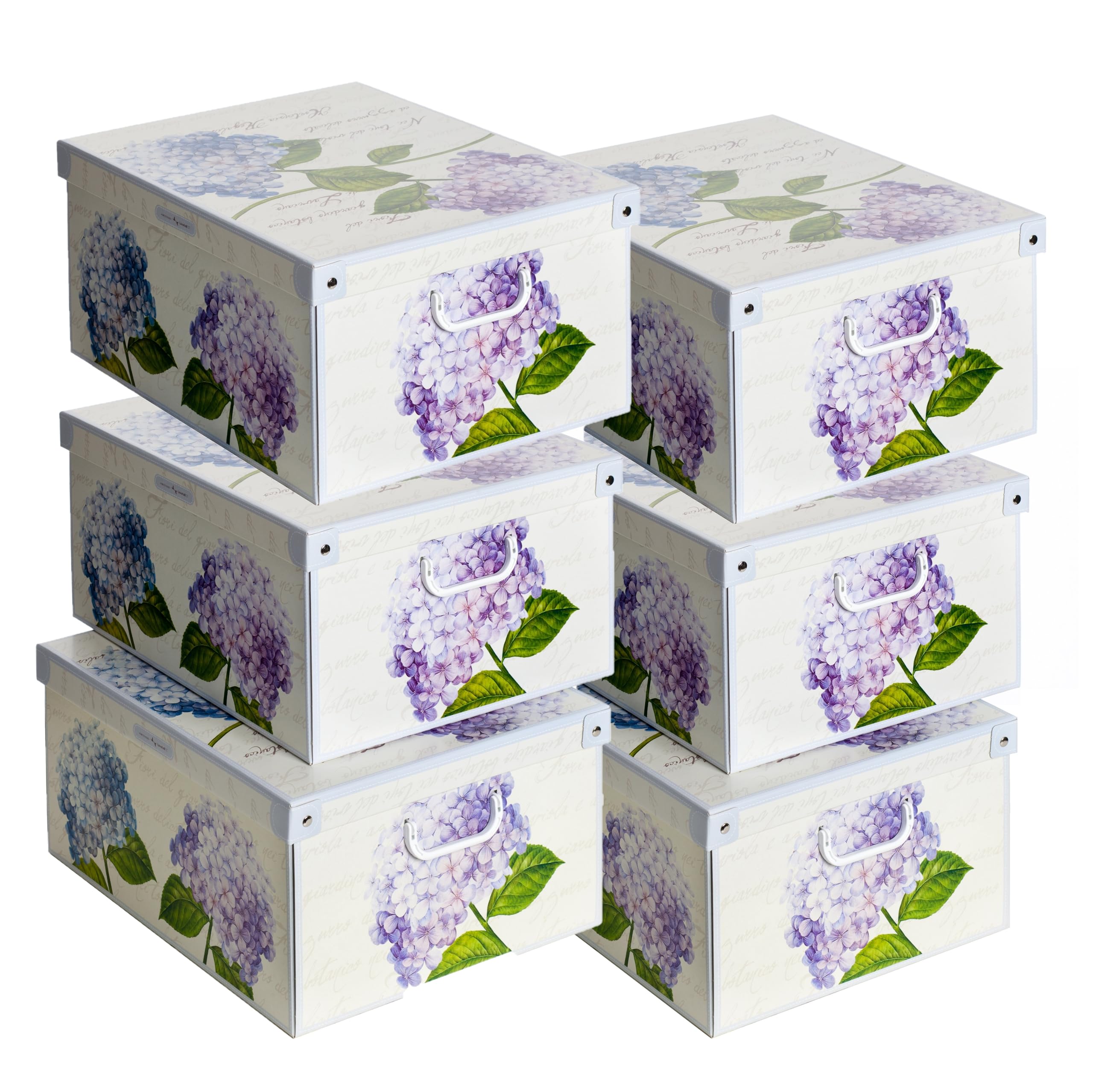 Lavatelli Ortensie scatole armadio cartone 39x50x24 cm set 6 pezzi