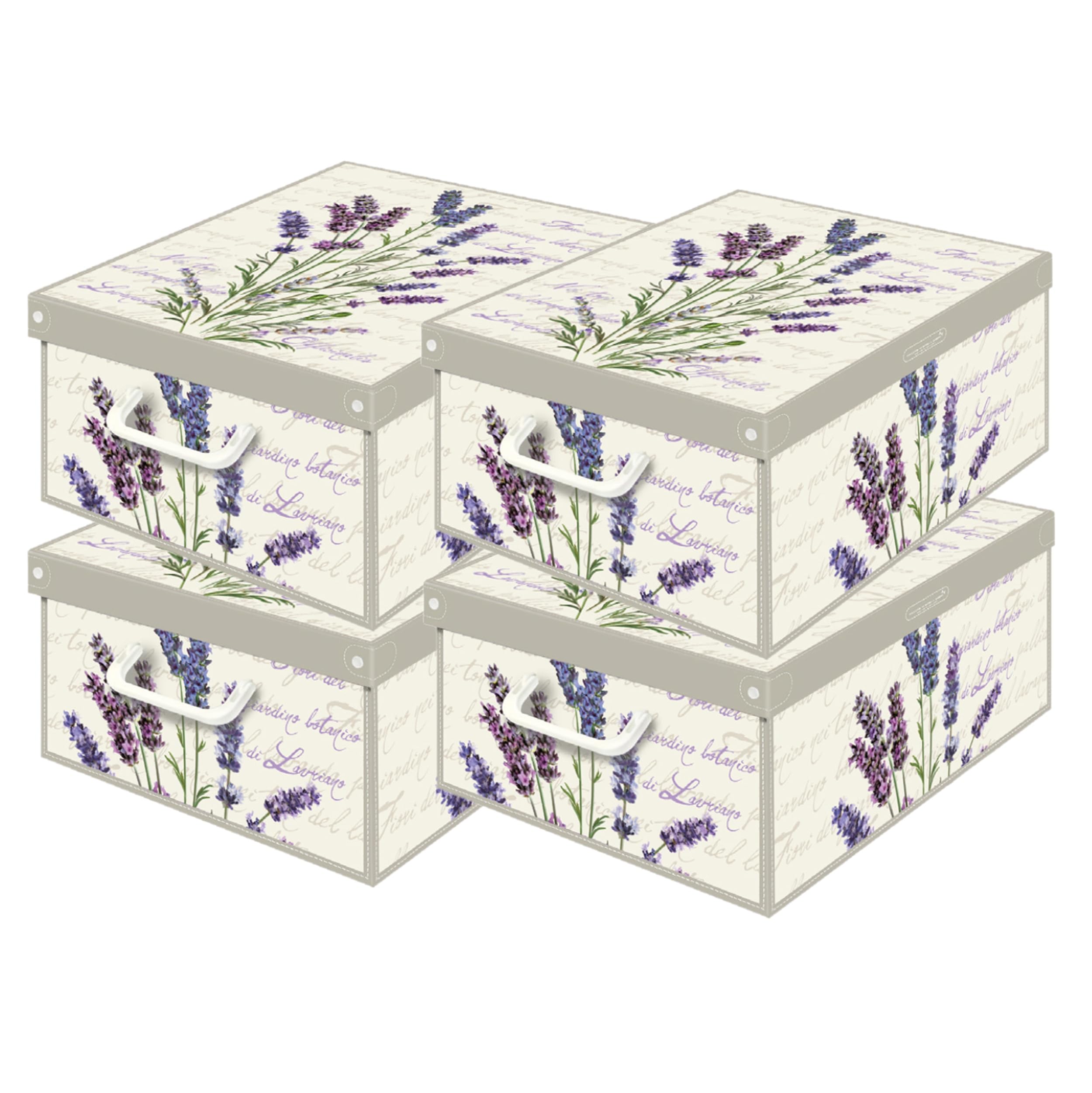 Lavatelli Lavanda scatole armadio cartone 25x35x17,5 cm set 4 pezzi
