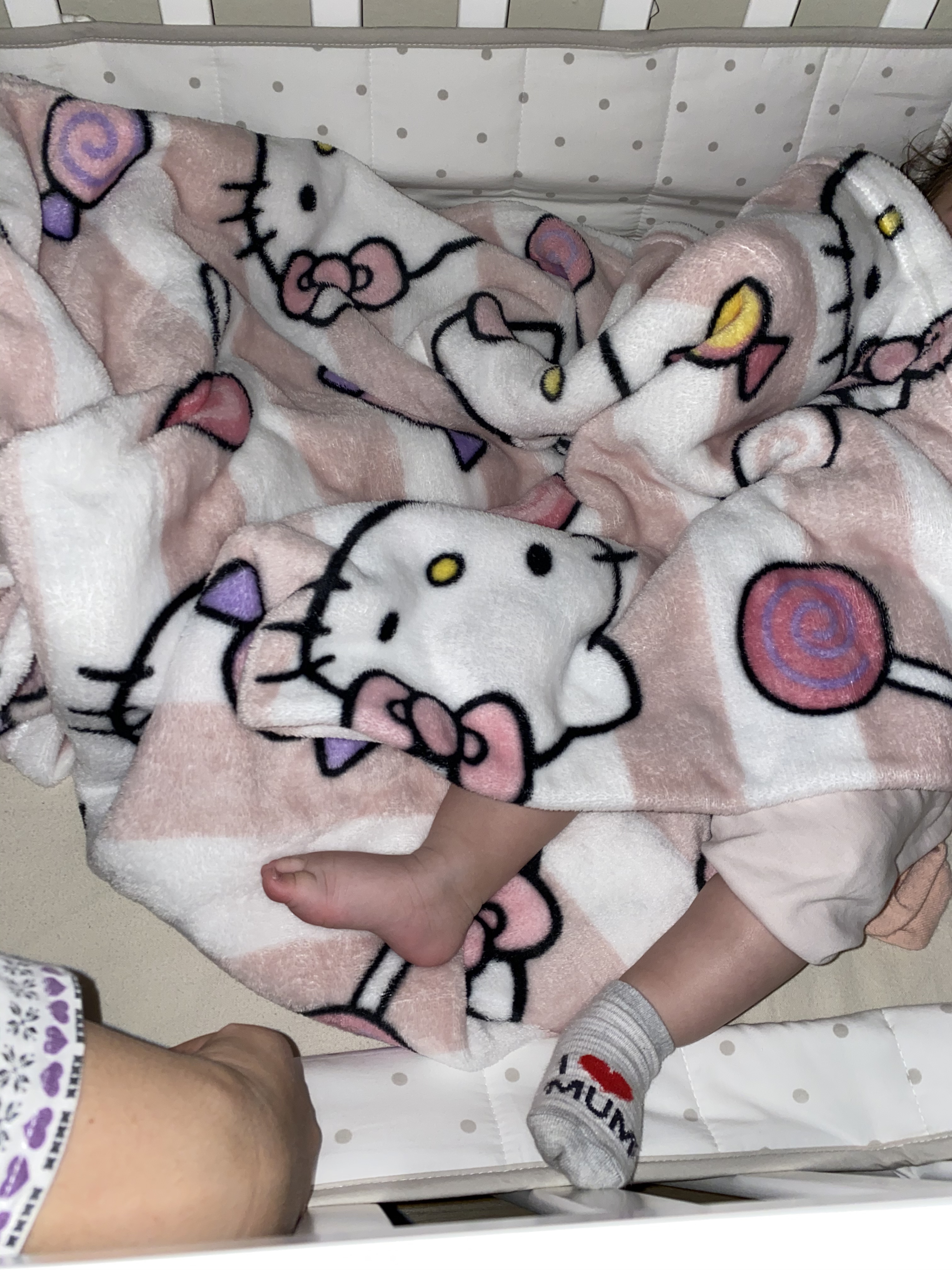Kanguru Hello Kitty plaid pile rosa 130x170 cm